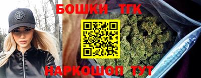 бошки Кингисепп