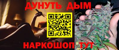 бошки Кингисепп