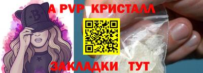 бошки Кингисепп