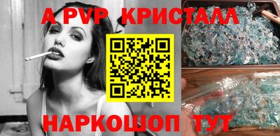 бошки Кингисепп