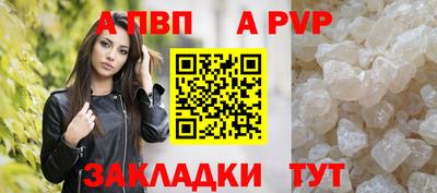 бошки Кингисепп