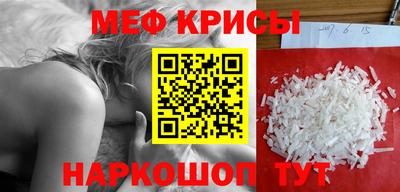 бошки Кингисепп