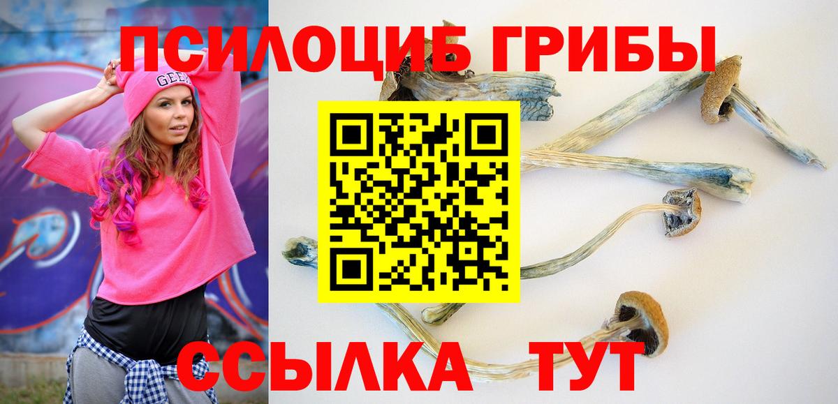 магазин продажи наркотиков  Вход с VPN  Воткинск  Галлюциногенные грибы Psilocybine cubensis 